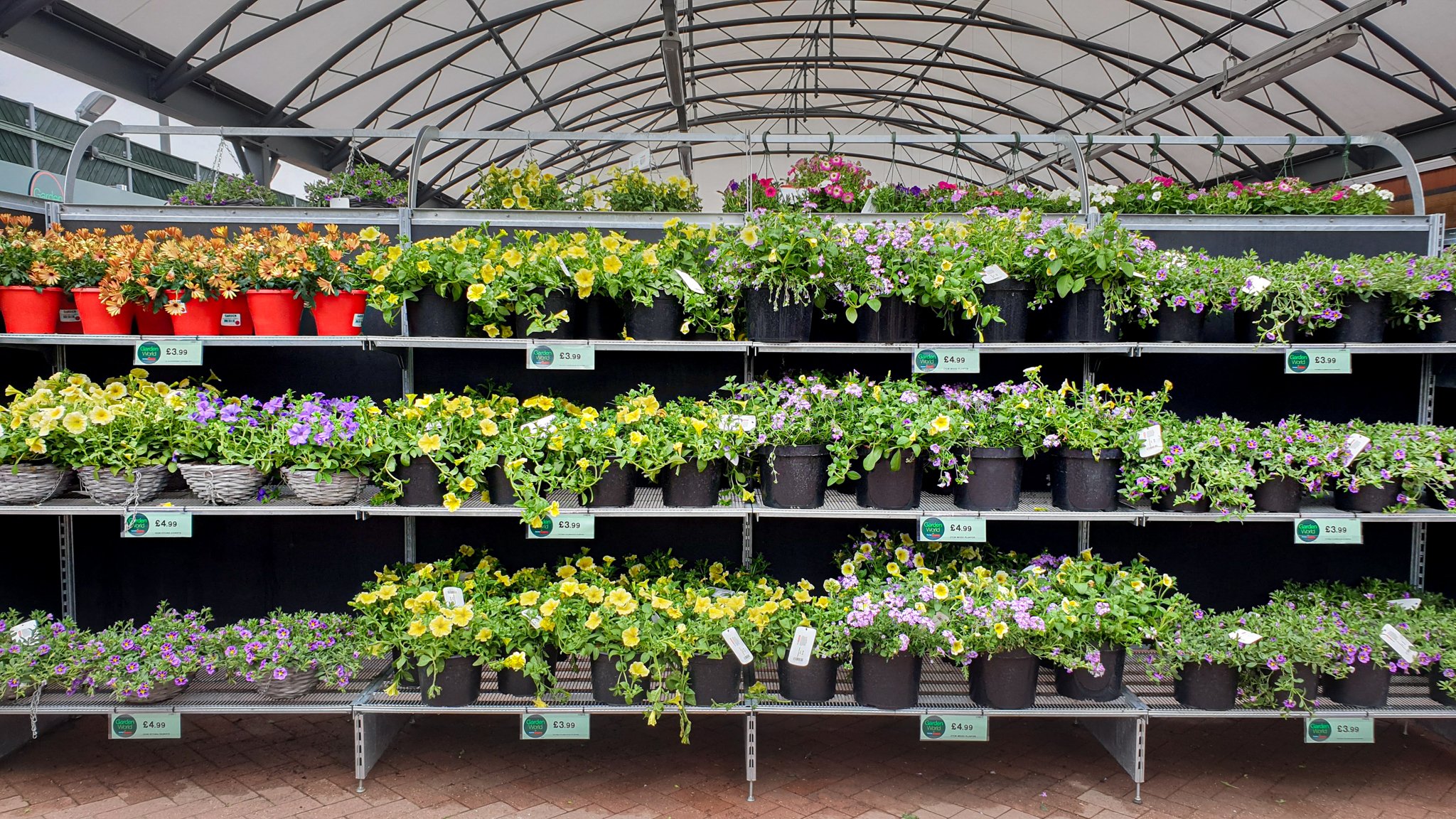 1CAEM Garden Centre - Galvanised Shelving (8)