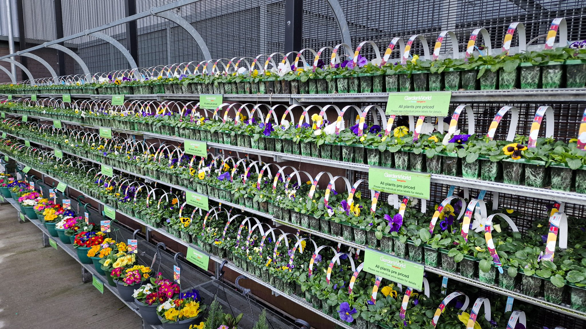 2CAEM Garden Center outdoor shelving (4)