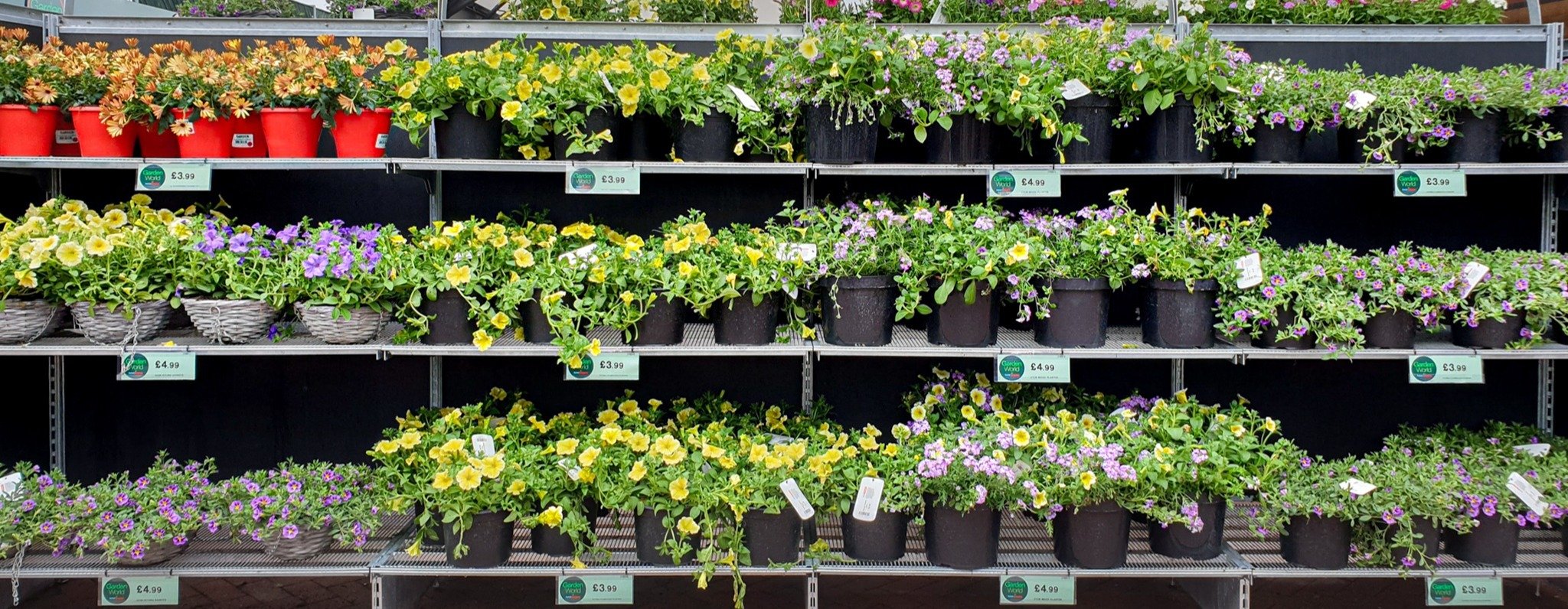 Étagères métalliques pour centres de jardinage en extérieur